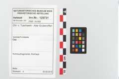 Foto von Rohhaut (NHMW-PRAE-125731)